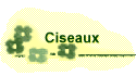 Ciseaux