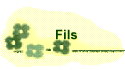 Fils