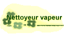 Nettoyeur vapeur