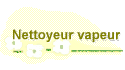 Nettoyeur vapeur