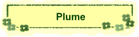 Plume