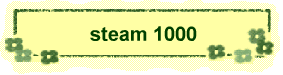 steam 1000